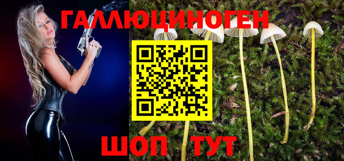 Галлюциногенные грибы прущие грибы Мценск